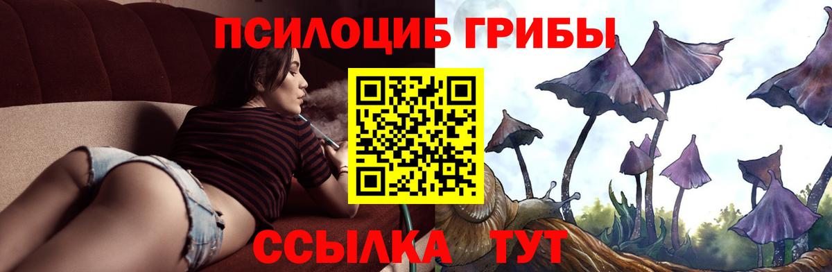 Узловая  Псилоцибиновые грибы Psilocybine cubensis  Вход с VPN 